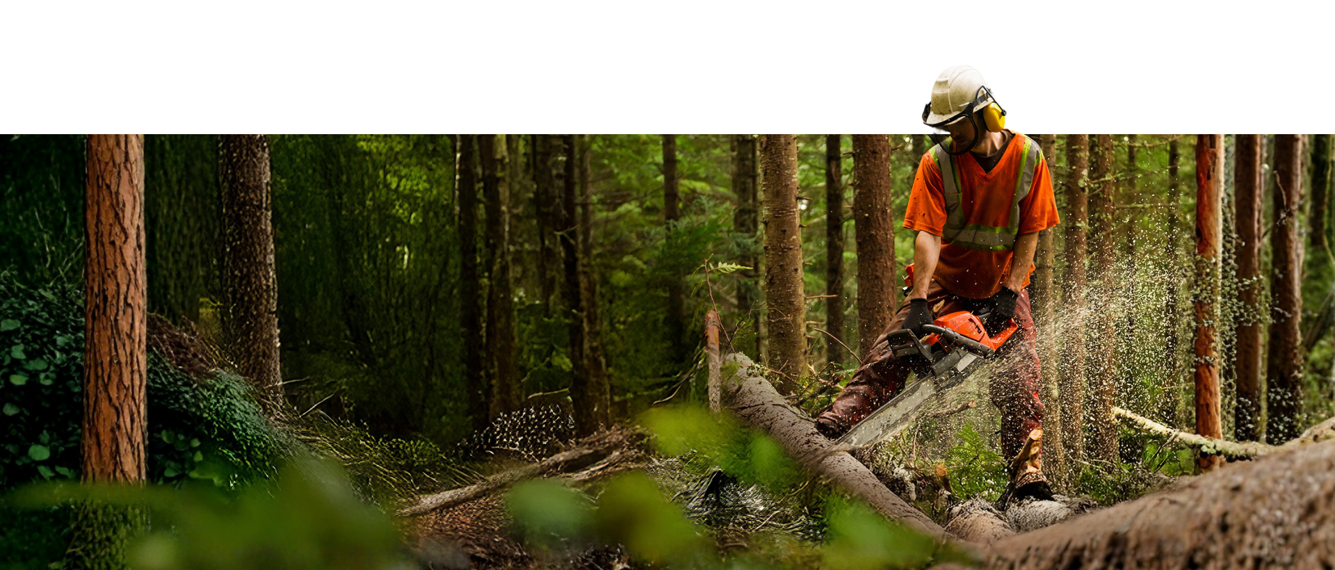 Vaše náročná práce si zaslouží příspěvek na penzijko