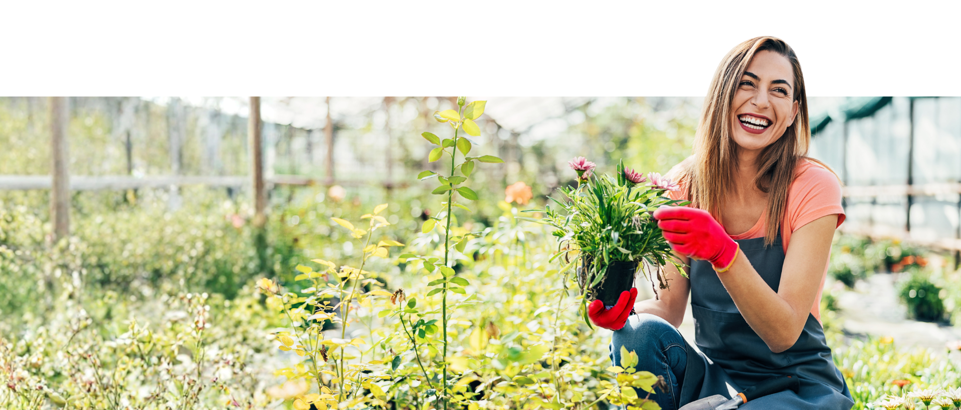 Co dnes zasadíte, v budoucnu sklidíte